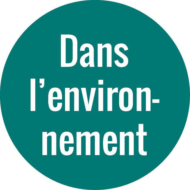 Dans l'environnement